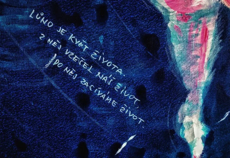 OSVĚTA — detail 2