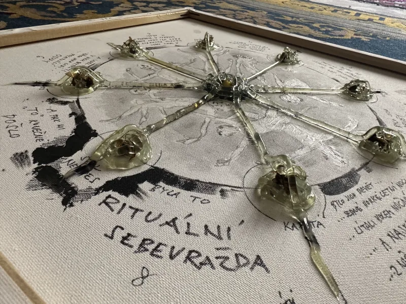 RITUÁLNÍ SEBEVRAŽDA — detail 3