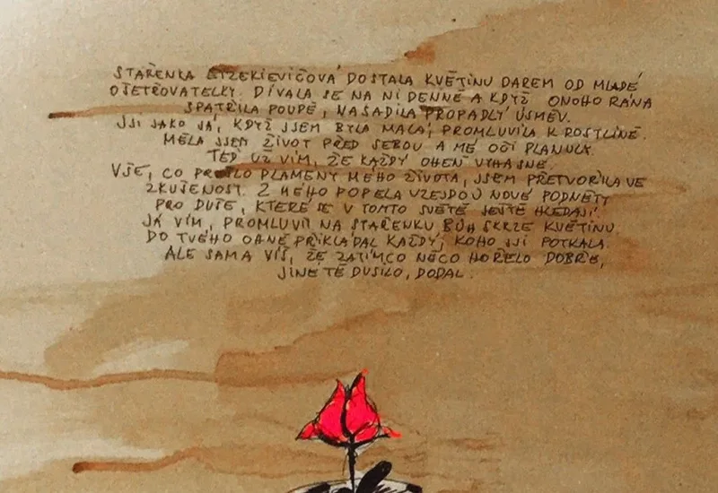 STÁŘÍ — detail 2