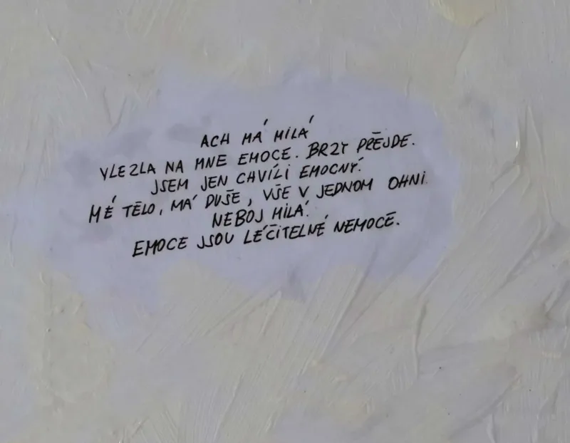 ŽENYSTA — detail 3