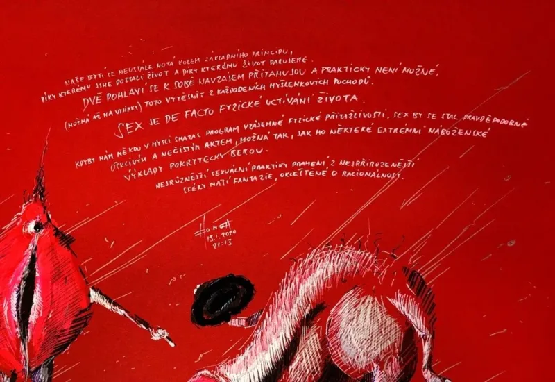MEZI NIMA — detail 5
