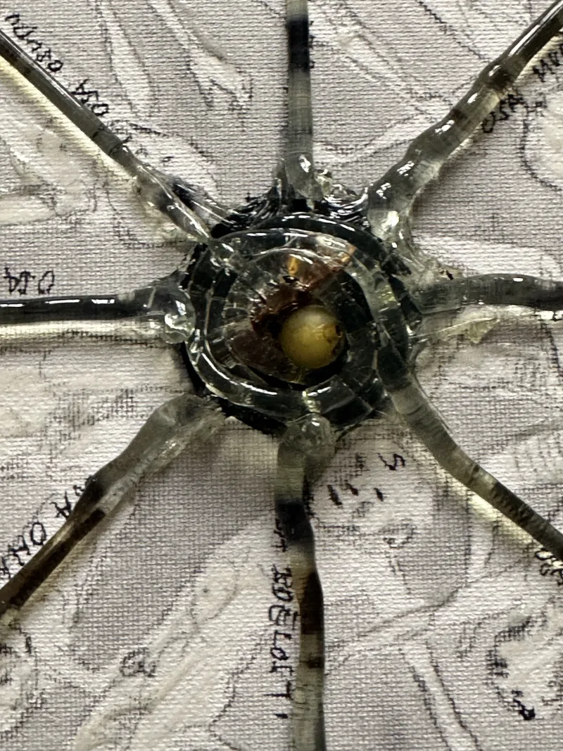 RITUÁLNÍ SEBEVRAŽDA — detail 1