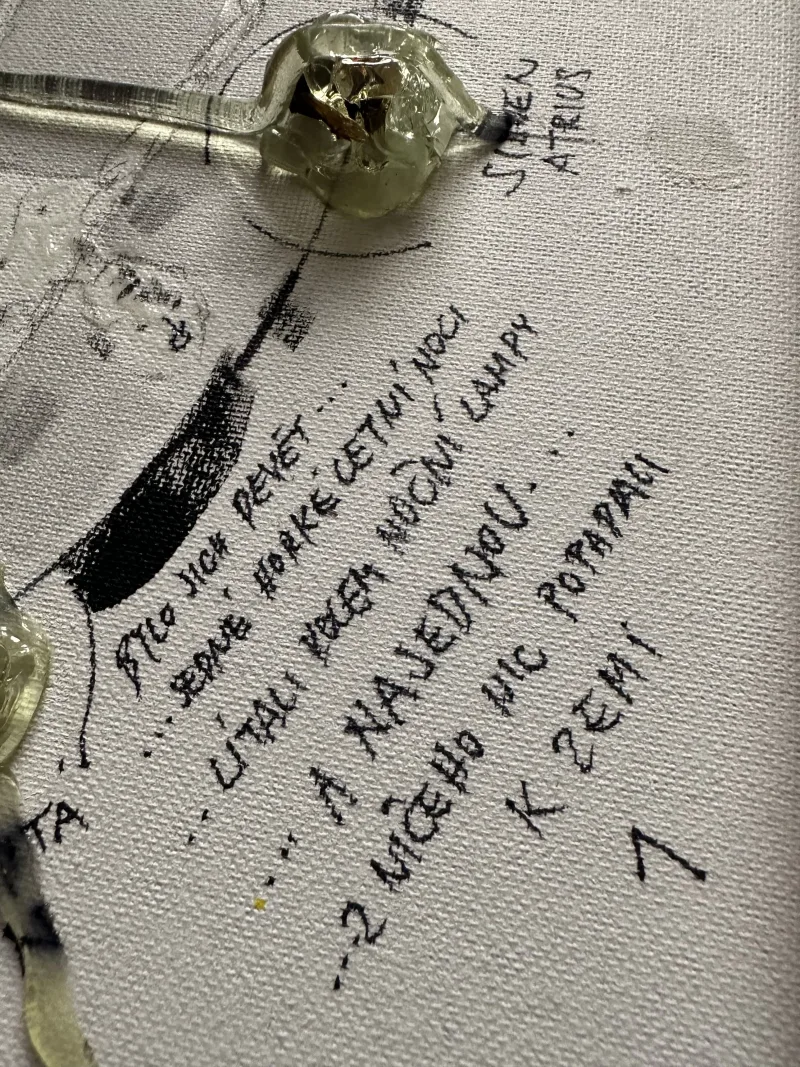RITUÁLNÍ SEBEVRAŽDA — detail 4