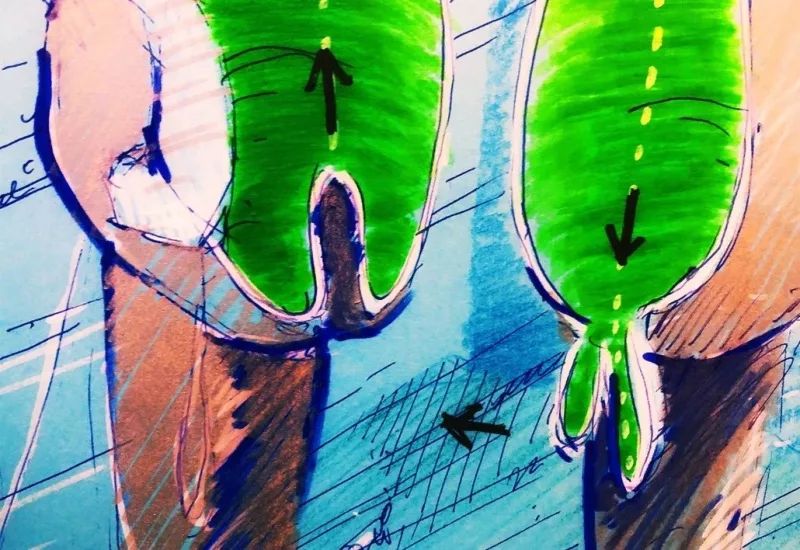 ČLOVĚK — detail 3